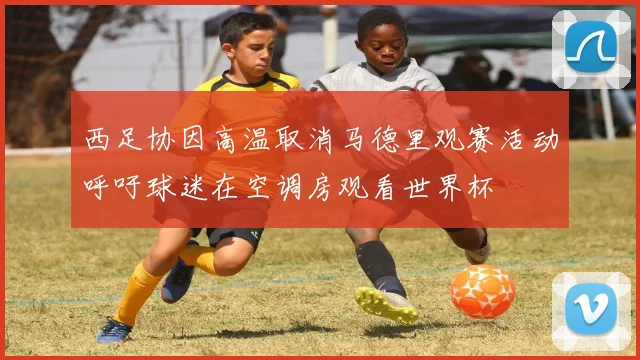 西足协因高温取消马德里观赛活动呼吁球迷在空调房观看世界杯